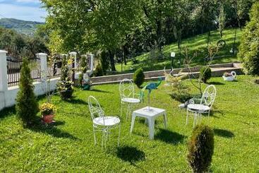 膳宿费 Casa Paunescu