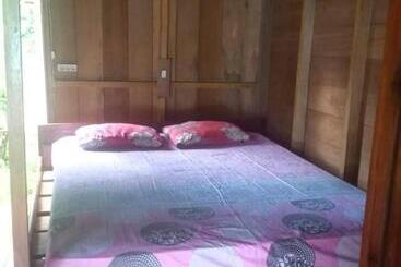 Hostel Nyang Ebay Surf Camp Siberut Mentawai Surfing Barrels