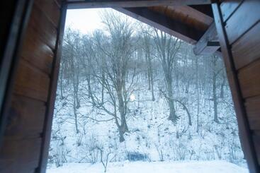 Pensión Livada Amely