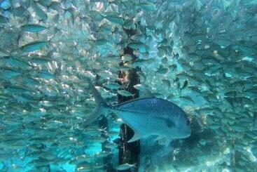 Pansiyon Gibran Guest House