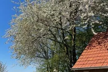 B&b Driel