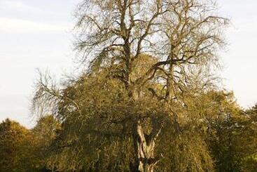 צימר Grange Manor