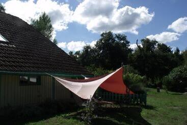 Bed and Breakfast Les Hôtes Landes