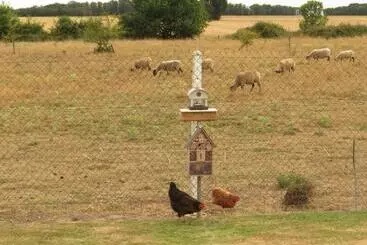 Pension Chambre D Hôtes La Clé Du Bonheur