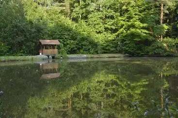 Pensjonat Penzion Farma Dvorec