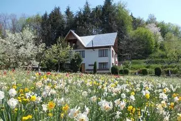 Pensiunea Paradis