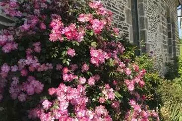 Aamiaismajoitus (B&B) La Corbonniere