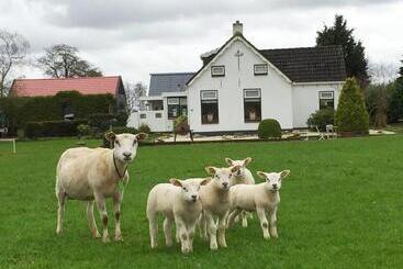 Bed and Breakfast Sfeervol Appartement Het Knooppunt