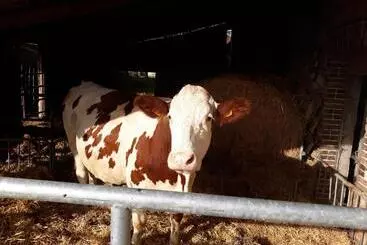 Ferme Pedagogique Des Pennetieres