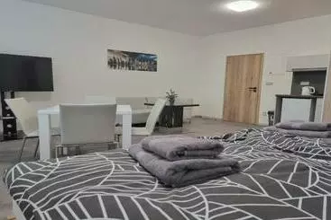 ペンション Apartmány U Jiříka