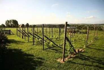 Hotelli Eyckenmolen B&b