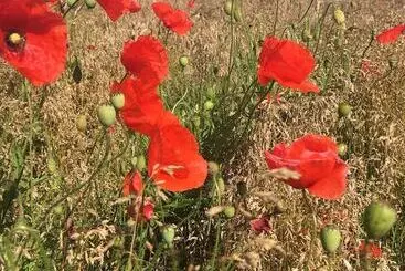 Hôtel Villa Sandby Bed And Breakfast