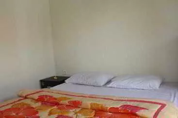 ベッドアンドブレックファースト Citrus Tree Kunyit