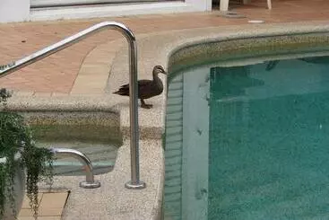 Appartamento Portside Noosa Waters