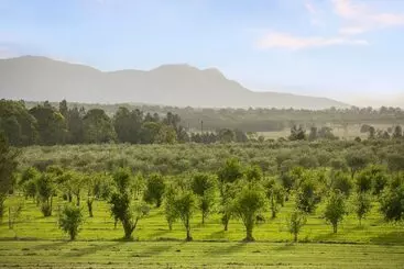 관광객 아파트 Talga Estate
