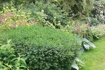 ペンション Les Ruettes