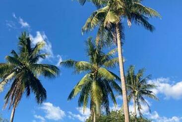 Bed and Breakfast Blue Resort