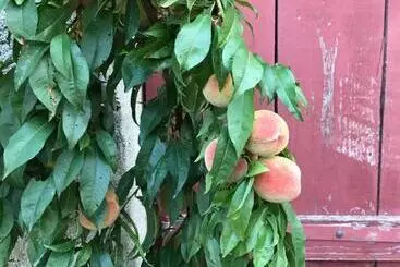 Aamiaismajoitus (B&B) Chambre Privative Et Originale, à 20 Mn De Cluny