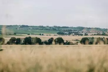 Weinzuhause Hotel Restaurant Vinothek