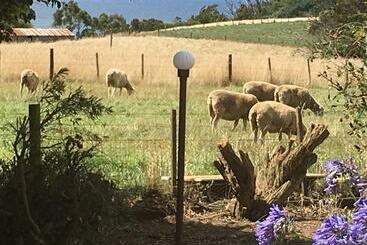 צימר Cape View B And B