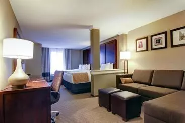هتل Comfort Suites Carlsbad