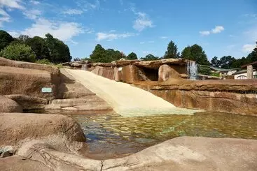 Отель First Group Bushman S Nek