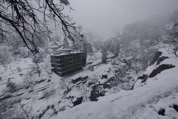 Attic Monkey Hostel Old Manali