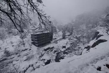 Attic Monkey Hostel Old Manali