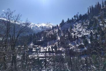 Attic Monkey Hostel Old Manali