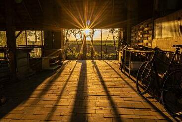 Kogutowo Agroturystyka Mpr