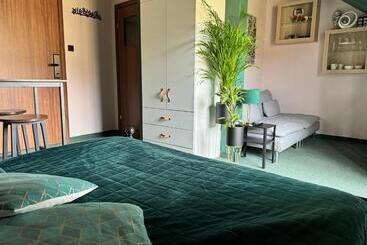 بنسيون Dziki Szynk