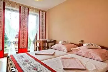 Bed and Breakfast Góralski Pałacyk