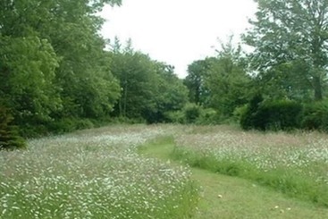 膳宿费 Hazelwood House