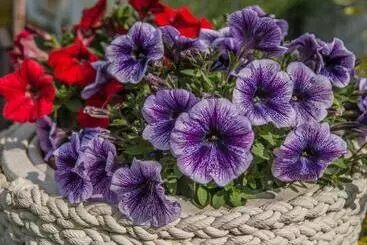 ユースホステル Pod Wzgórzem Bed & Breakfast