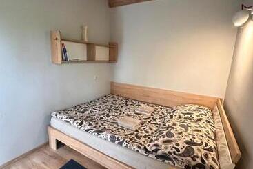 Farma Albert Korzenie