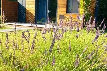 Huoneistohotelli Osada Pod Lasem