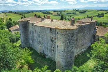 مبيت وإفطار Château De Mézerville