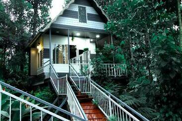 The Wayside Cottage Munnar
