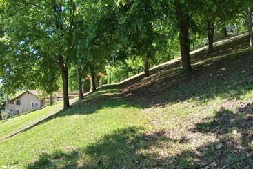 Aamiaismajoitus (B&B) L Albore