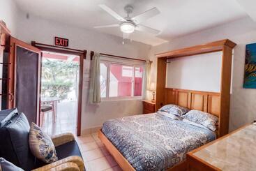 בית מלון כפרי Frangipani 8 At Caribe Island Gold Standard Certified