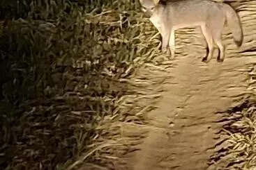 Retkeilymaja Pousada E Pesque E Pague Vista Alegre