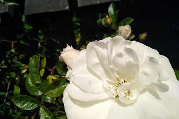 Pensione Cycling Hostel Piedra Azul