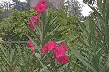 Pensión Les Chambres De Mélis