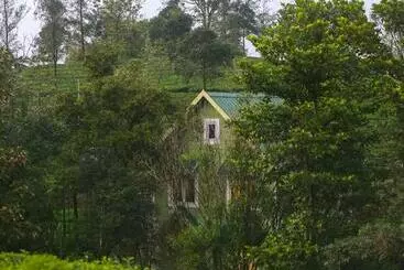 Alpine Vagamon Resort By Voye Homes