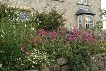 Bed and Breakfast Treganoon House, Lanlivery