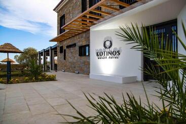 酒店 Kotinos Beach