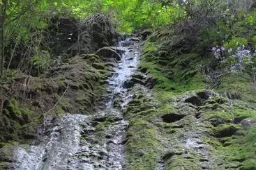 Apartment Homer S Studio