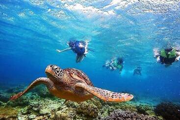 Апарт-отель Vida Homes Condo Resort