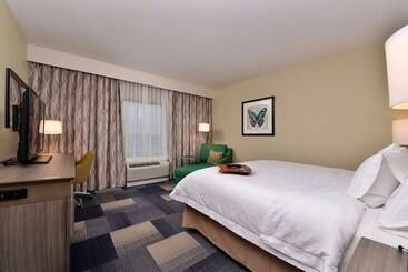 Hotel Hampton Inn Broussardlafayette Area