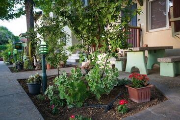 Nuriel Fruit & Guest House